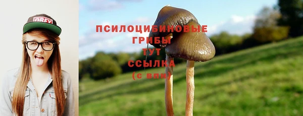 соль ск Белокуриха