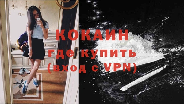 соль ск Белокуриха