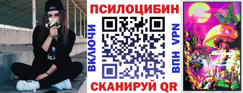 Галлюциногенные грибы Psilocybine cubensis  Купить где  Верхняя Салда 